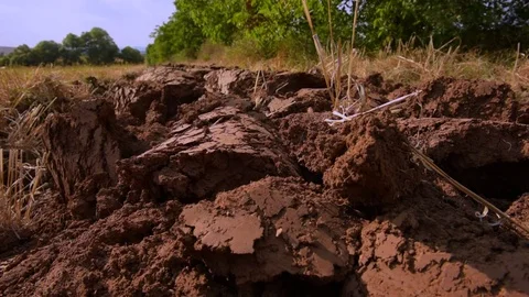 Soil With Strawр, close up Stock Footage 73921695