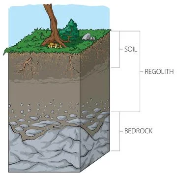 Soil structure Stock Illustration