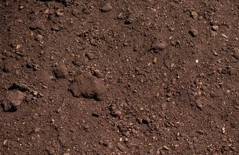 Soil surface texture. Soil macro detail. Soil clumps texture. Soil particle.. Stock Photos
