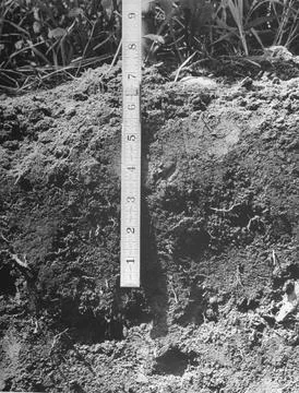 Soil Testing, Unspecified Stock Photos