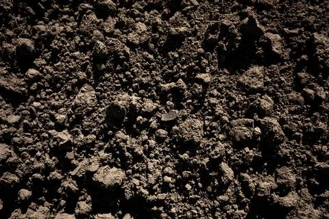 Soil texture background of dark fertile brown dirt ground for agriculture Stock Photos