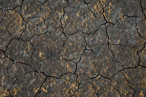 Soil texture background. dry black soil Stock Photos