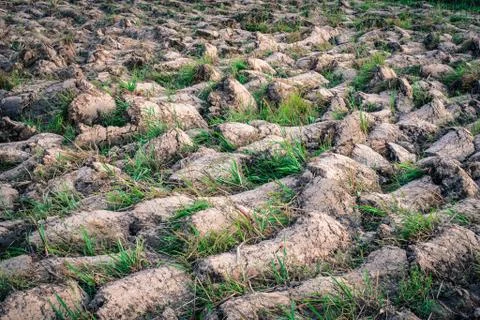 Soil texture background Foto stock