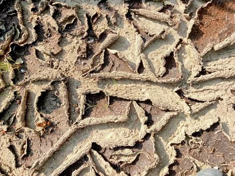 Soil texture background Stock Photos