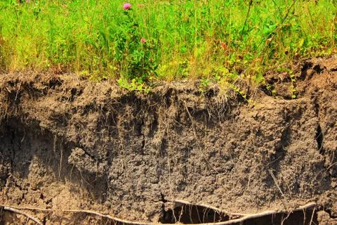 Soil texture of the cliff Stock Photos