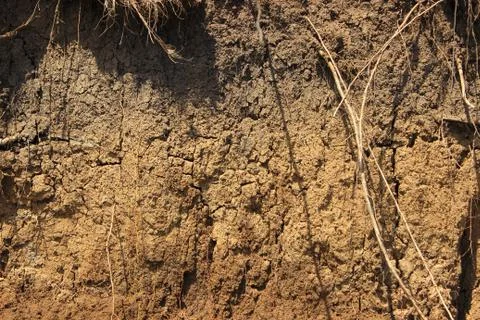 Soil texture of the cliff shore Stock Photos