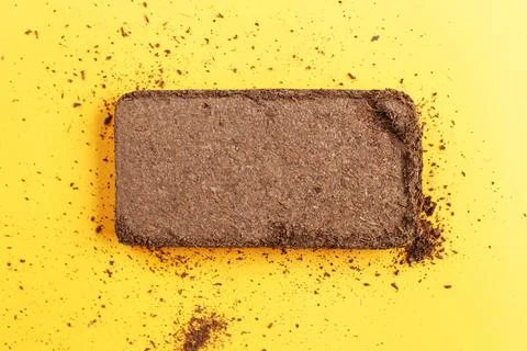 Soil texture close up. mock up. coconut briquette on a orange background. Фото