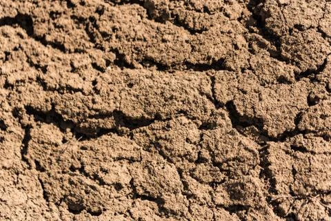 Soil texture close-up Foto stock