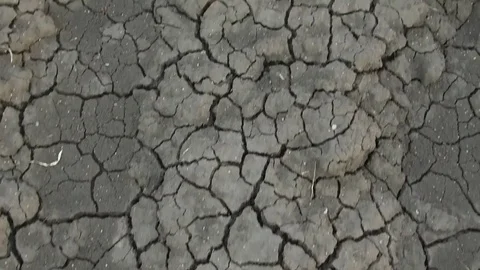 Soil texture closeup Stock Footage 77573359