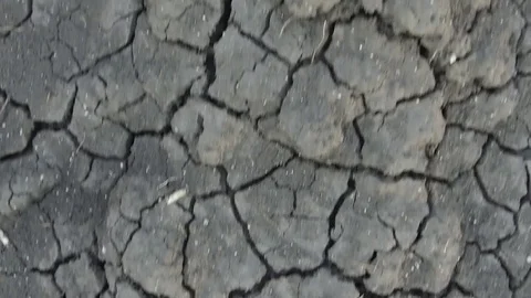 Soil texture closeup Stock Footage 77573428