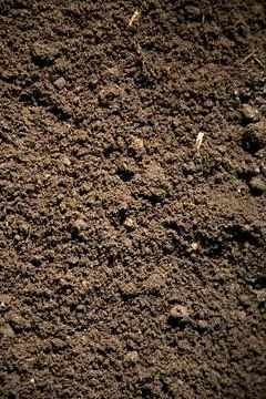 Soil texture for environmental use. Soil surface with natural blur. Soil gr.. Stock Photos