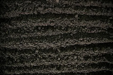 Soil texture with forest blur. Soil surface for eco background. Soil ground.. Foto stock
