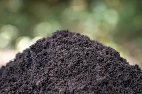Soil texture for landscape design. Soil surface with woodland blur. Soil grou 库存照片