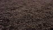 Soil Texture Motion Background 4K Stock Footage