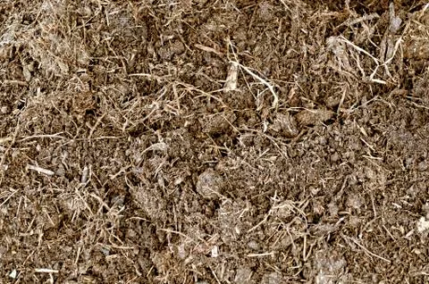 Soil texture Foto stock