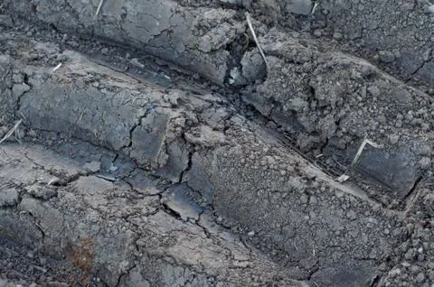 Soil texture Stock Photos