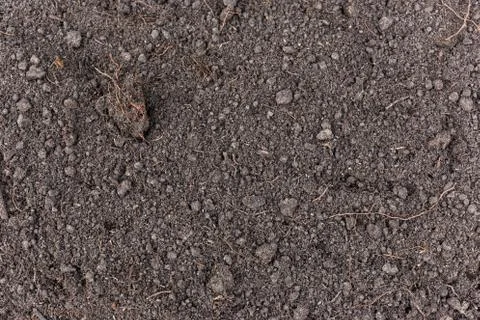 Soil Texture Stock Photos