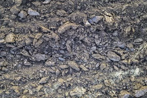 Soil texture Stock Photos
