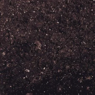 Soil texture Soil texture background. Vector background Copyright: xZoonar... Stock Photos