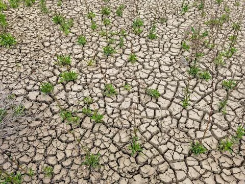 Soil under the sun Foto stock