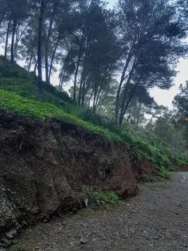 Soil wall in the pristine nature path to enjoy the natural world Stock Photos