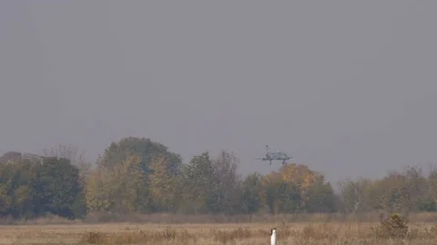 Soko G-3 Super Galeb Serbian Air Force Training Aircraft with Mimetic Camouflage 動画素材 82753160