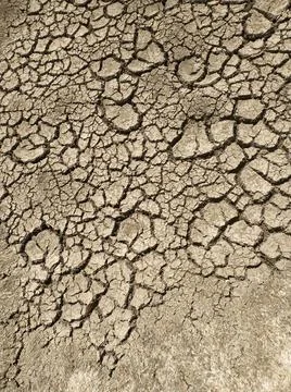 Sol craquelé Foto stock