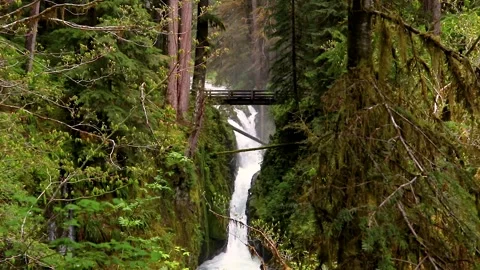 Sol Duc Falls 2 | Olympic National Park | Peninsula | Washington |  HD Footage Stock Footage 209324490