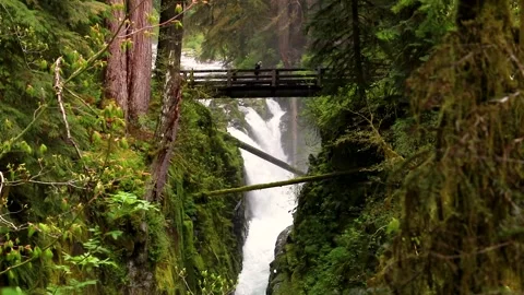 Sol Duc Falls 3 | Olympic National Park | Woman Walking on Bridge |  HD Footage Stock Footage 209324486