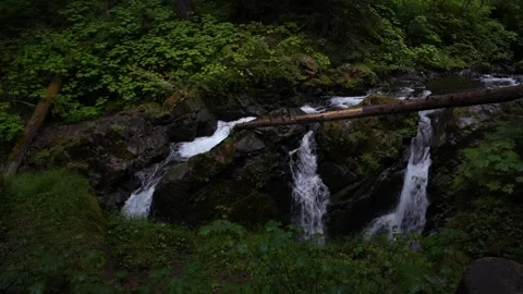 Sol Duc Falls Stock Footage 159768677