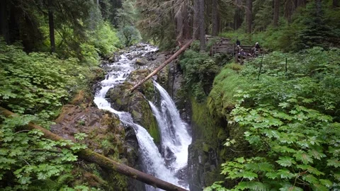 Sol Duc Falls Stock Footage 159768747