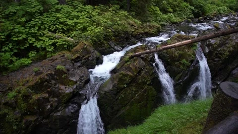 Sol Duc Falls Stock Footage 159768750