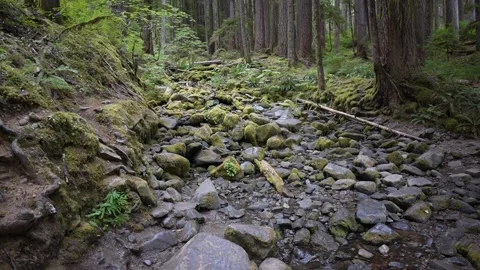 Sol Duc Falls Stock Footage 159768753
