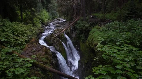 Sol Duc Falls Stock Footage 159768755