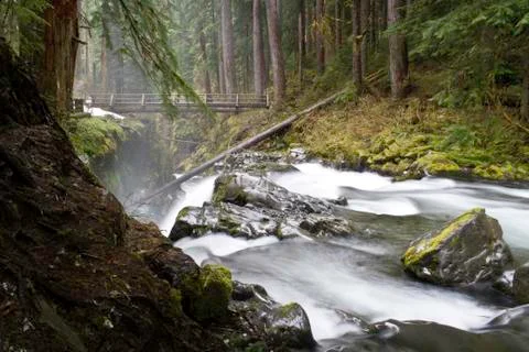 Sol Duc Falls Stock Photos