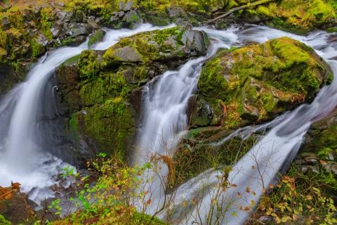Sol Duc waterfall in Rain Forest Foto stock