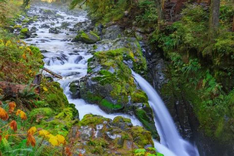 Sol Duc waterfall in Rain Forest Stock Photos
