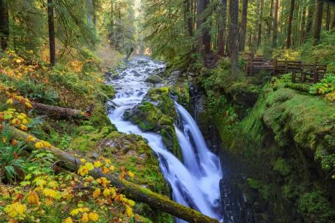 Sol Duc waterfall in Rain Forest Stock Photos