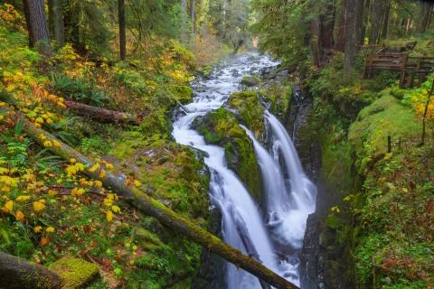Sol Duc waterfall in Rain Forest Foto stock