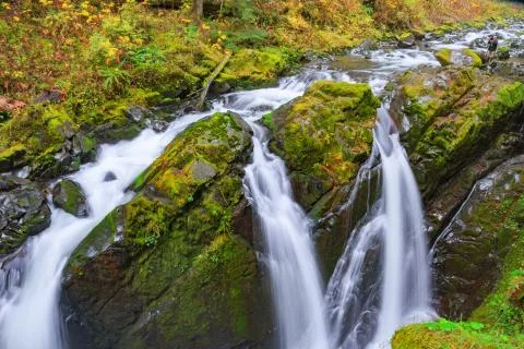 Sol Duc waterfall in Rain Forest Foto stock