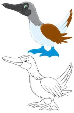 Solan Illustrazione stock