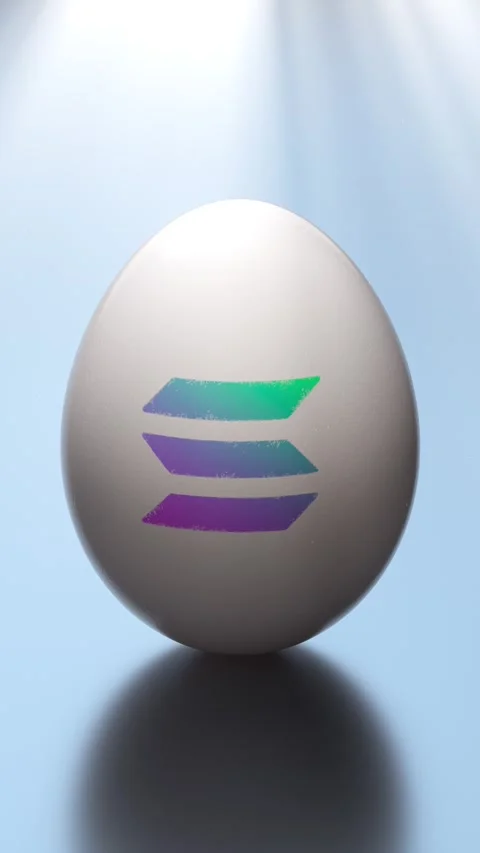 Solana Crypto Egg Loop Stock Footage 306055070