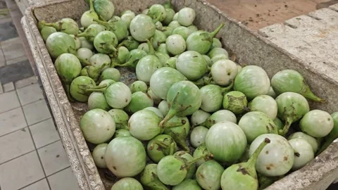 Solanum vegetable Video stock 324782621