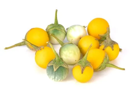 Solanum on white background Stock Photos