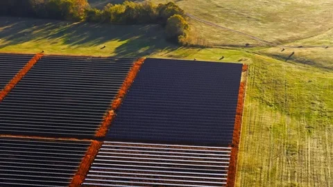 Solar Array Across Open Field Supporting Sustainable Power Stock Footage 328385974