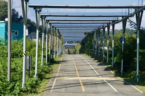 Solar Array Corridor Closeup 库存照片