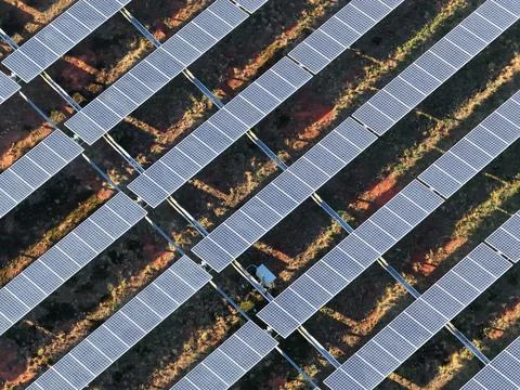 Solar Array for Data Center, NC Foto stock