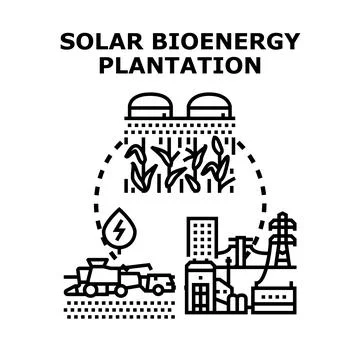 Solar bioenergy plantation concept generating sustainable green power Stock Illustration