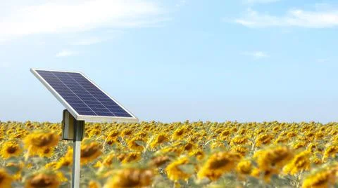 Solar cell panels installed to power a sunflower farm Stock Photos