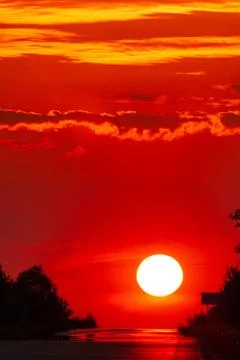 Solar disk and silhouettes of trees against the background of the red sunset  Stock Photos